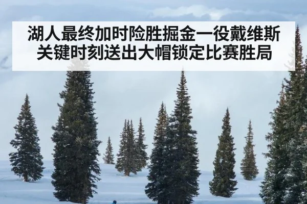 湖人最终加时险胜掘金一役戴维斯关键时刻送出大帽锁定比赛胜局