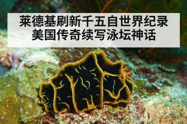 莱德基刷新千五自世界纪录美国传奇续写泳坛神话